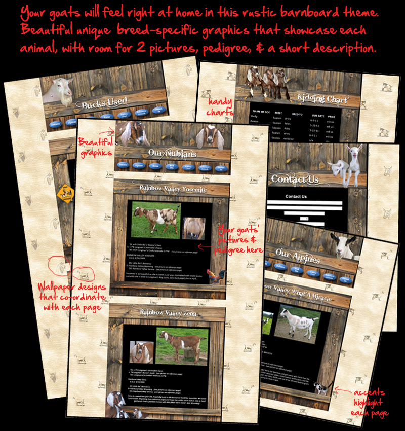 rainbow valley web pages